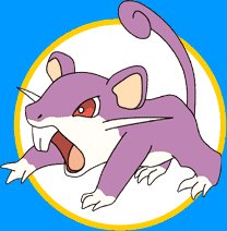 Rattata 