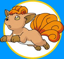 Vulpix 