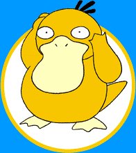 Psyduck 