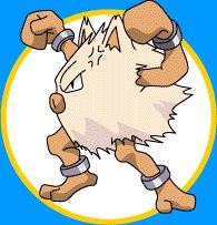  Primeape